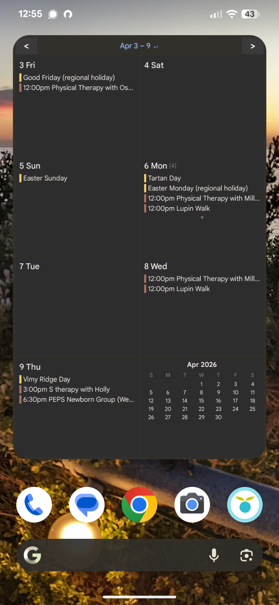 WeekMe widget on Android home screen showing a weekly calendar view